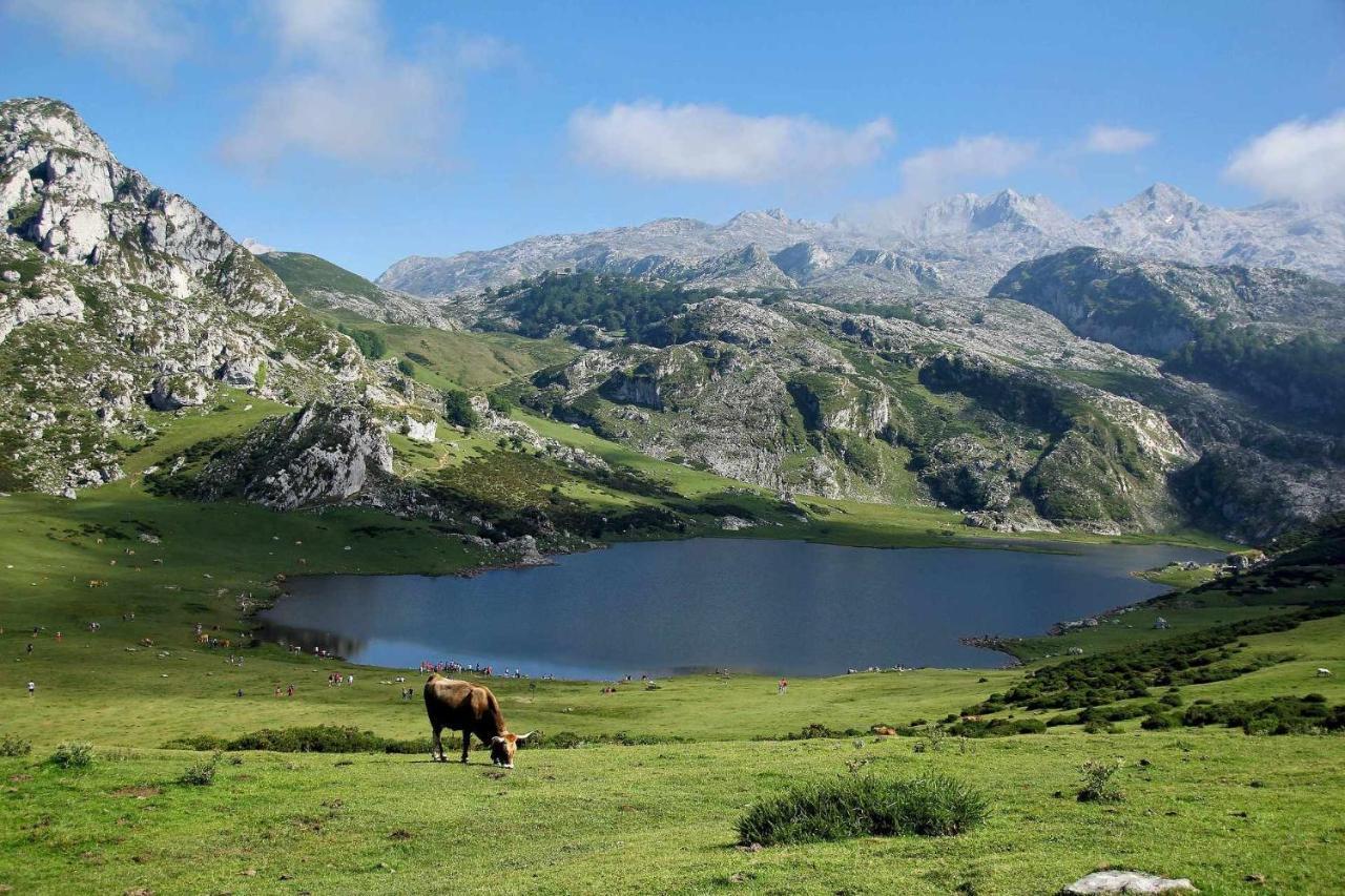Casa Rural Kiko Asturias Bimenes Екстериор снимка